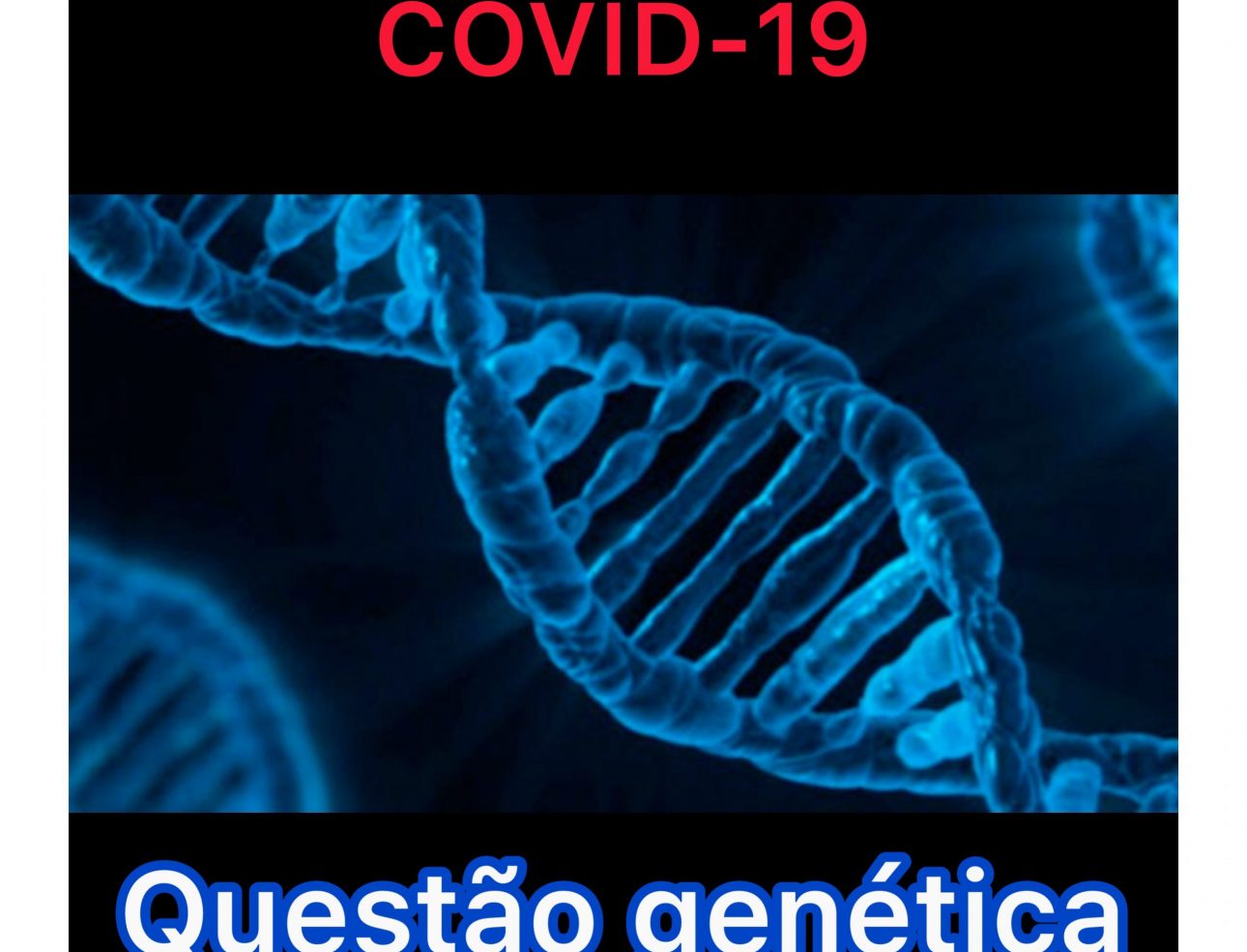 Covid 19 e a genética